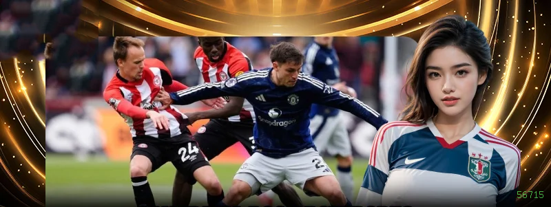 56715 Provedores Premium